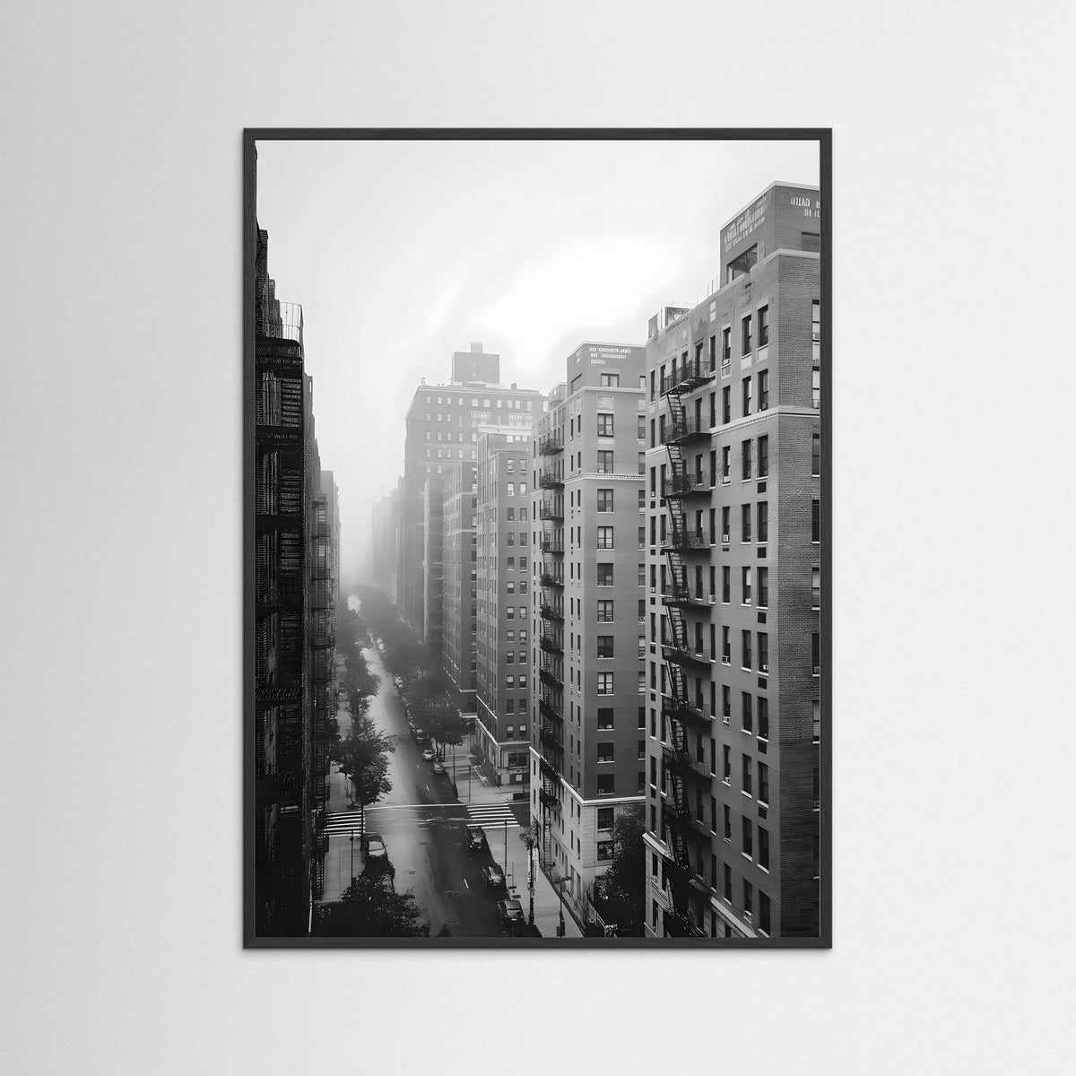 The Bronx in Black and White